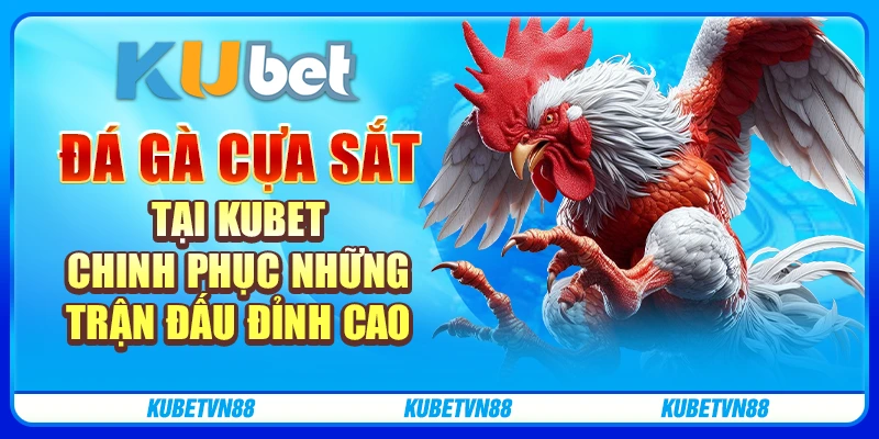 Đá gà cựa sắt tại Kubet - Chinh phục những trận đấu đỉnh cao